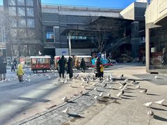 -中粮·祥云小镇