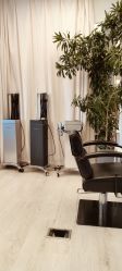 -Hair  Gallery
