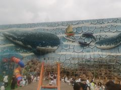 -华夏文旅海洋公园