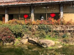 -中国茶叶博物馆(双峰馆区)