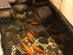 -邈墨茶馆(凤起路店)