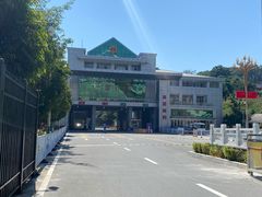-打洛口岸