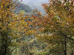 -会稽山峡洞漂流-上青古道