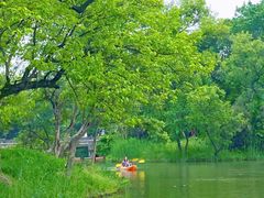 -西溪国家湿地公园