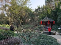 -房湖公园