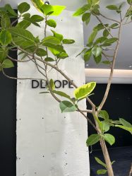 -DL HOPE造型