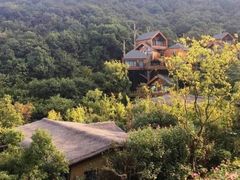 -杭州开元森泊度假乐园