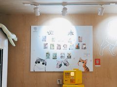 -MOCHA明星猫咖(田子坊店)