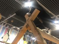 -小时光咖啡馆(开森度假森林店)