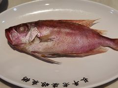 -长平老姿娘夜粥(平东一街店)