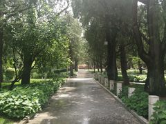 -北京市劳动人民文化宫(太庙)