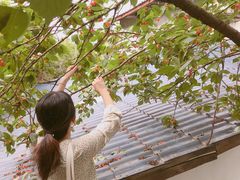 -樱桃山旅游景区