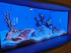 -上海海洋水族馆