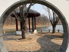 -横山寺