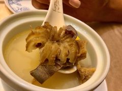 -食神鱼头佛跳墙(百子湾旗舰店)