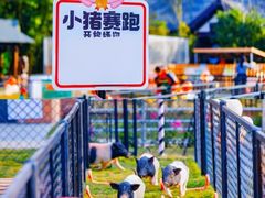 -太阳岛度假酒店