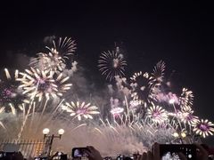 -广州白天鹅宾馆