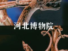 -河北博物院