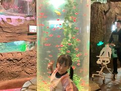 -长鹿旅游休博园