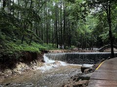 -洛阳白云山景区