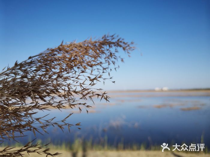 官港森林公园图片