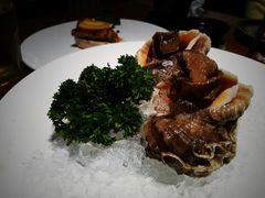 海螺刺身-九井澤精致料理(金茂店)