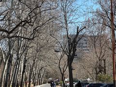 -元大都城垣遗址公园