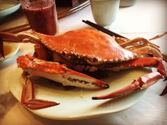 -浩运·海鲜青岛菜·海胆水饺(石老人店)