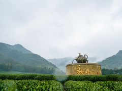 -龙坞茶村