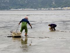 -北岐滩涂