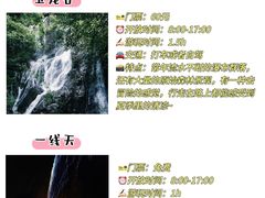-宴武夷·匠心闽味(印象大红袍店)