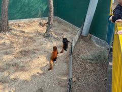 -大连森林动物园