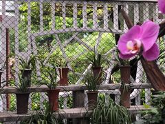 -广州兰圃