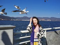 -滇池海埂公园