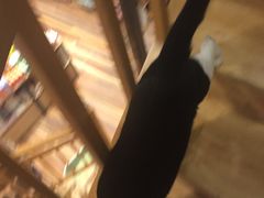 -猫的天空之城概念书店(杭州南宋御街店)