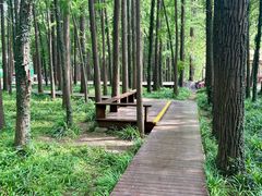 -采石矶景区