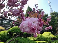 -南通博物苑-崇川人民公园