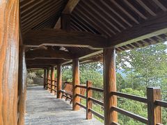 -蝶舞清江·恩施云顶景区(黄鹤峰林)