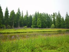-黄海国家森林公园