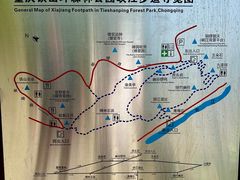 -铁山坪森林公园