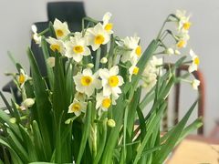 -7分甜(圆融广场店)