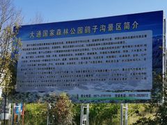 -鹞子沟国家森林公园