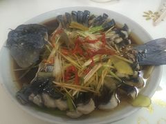 -煲来饱去冷水鱼