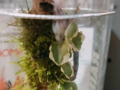 -酷乐潮玩(颛桥万达店)