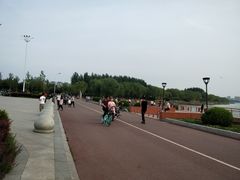-丁香湖公园