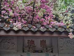 -深圳国际园林花卉博览园