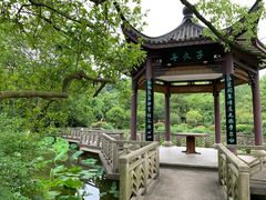 -杭州花家山庄