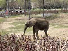 -哈尔滨北方森林动物园