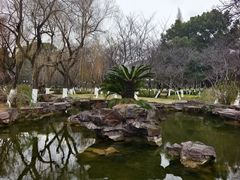 -范蠡湖公园