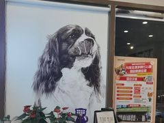 -瑞鹏宠物医院·微创内窥镜·骨外科·牙科(翠竹分院)